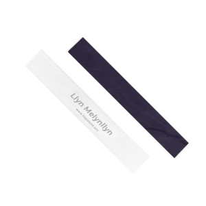 Llyn Melynllyn Whetstone