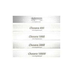 Naniwa Chosera recommended stones set (4+1)